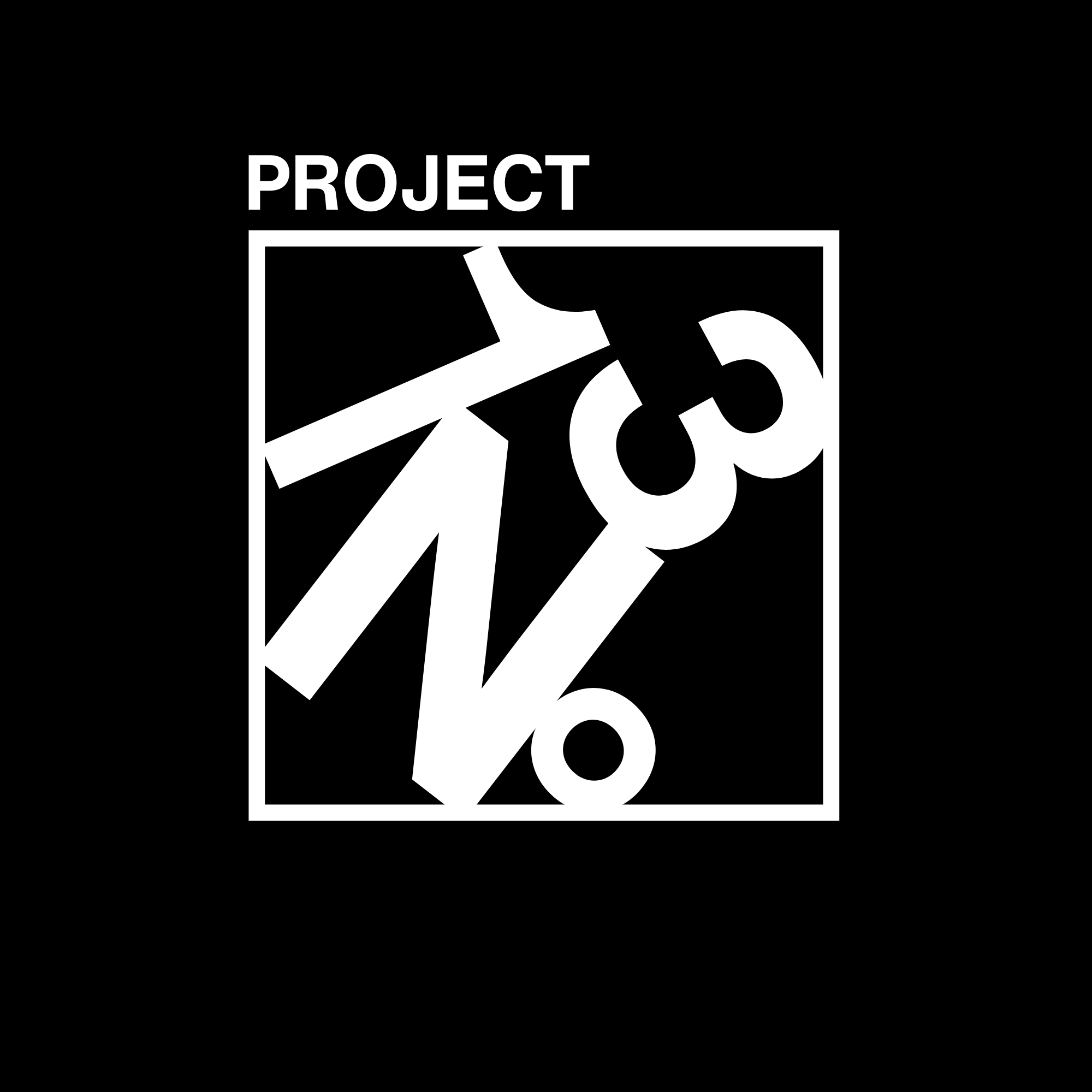 Project Nr. 13