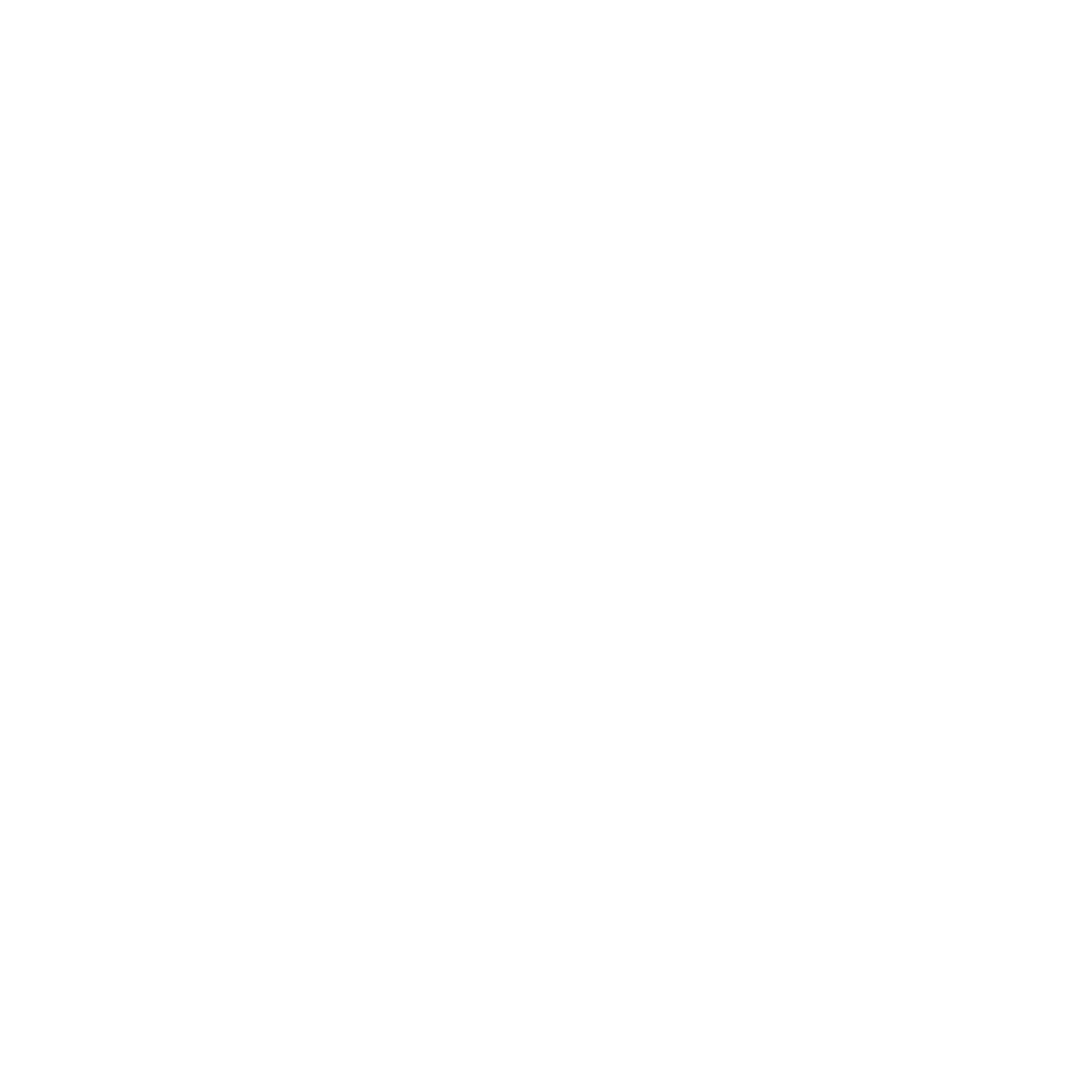 Project Nr. 13